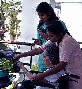 Garden Therapy