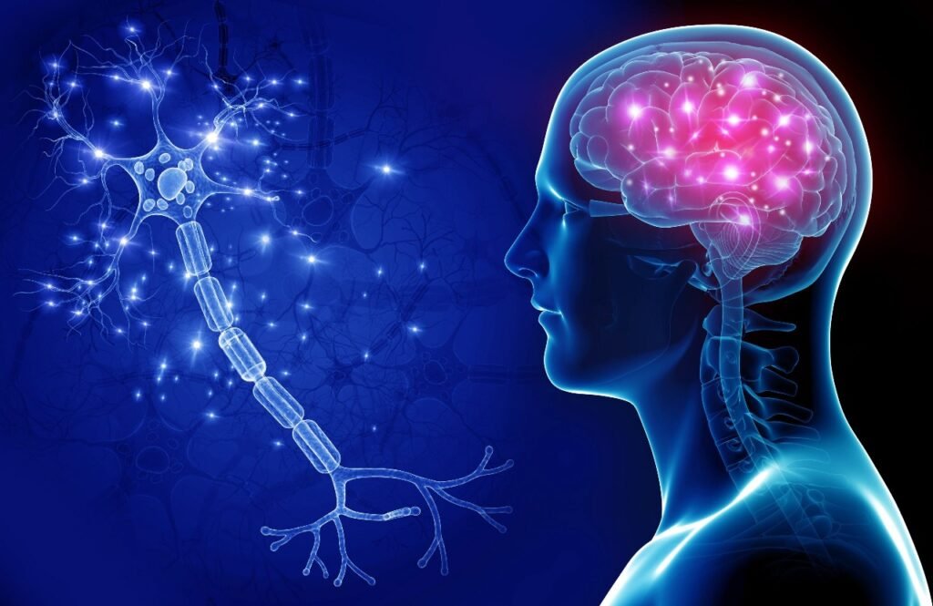 Revolutionizing Neuro Rehabilitation: The Role of Neurogenomics in Personalizing Treatment Plans